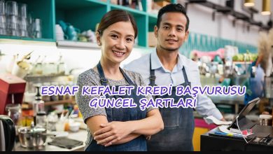 esnaf kefalet krediSİ Başvurusu